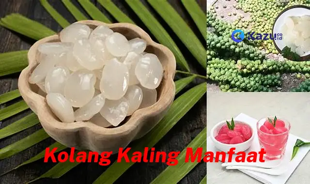 Temukan Manfaat Kolang Kaling yang Jarang Diketahui