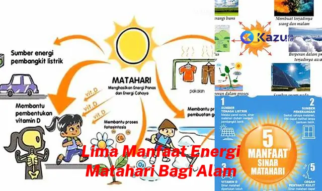 Temukan Lima Manfaat Energi Matahari Bagi Alam yang Harus Anda Ketahui