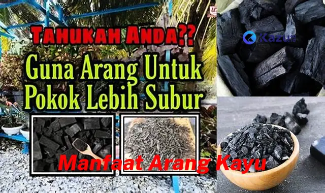 Ketahui 7 Manfaat Arang Kayu yang Bikin Kamu Penasaran