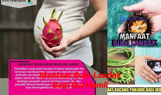 Temukan 7 Manfaat Bulu Landak Bagi Ibu Hamil yang Jarang Diketahui