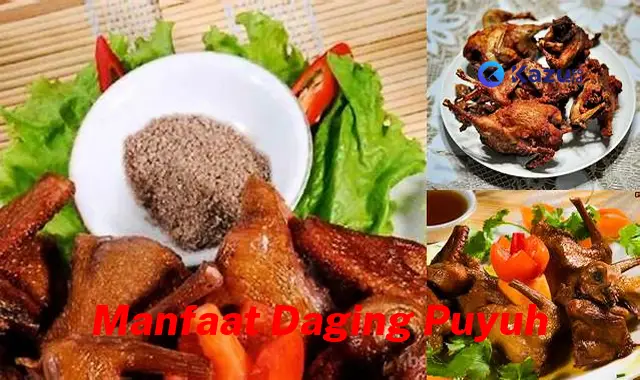 Temukan Manfaat Daging Puyuh yang Jarang Diketahui Bikin Kamu Penasaran