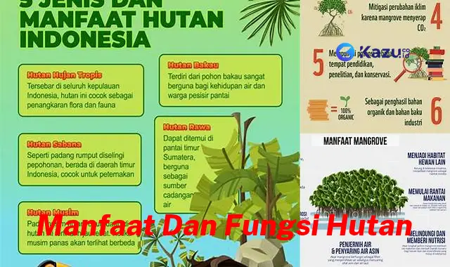 Temukan Manfaat dan Fungsi Hutan yang Jarang Diketahui