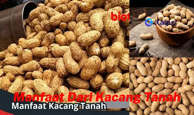 Ketahui 7 Manfaat Kacang Tanah yang Bikin Kamu Penasaran