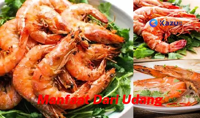 Temukan 7 Manfaat Udang Jarang Diketahui yang Bikin Kamu Penasaran