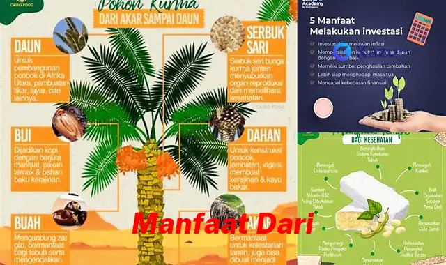 Temukan Manfaatnya yang Tak Terbayangkan