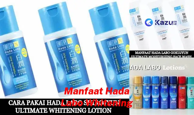 Temukan Manfaat Tersembunyi Hada Labo Whitening yang Jarang Diketahui