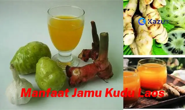 Temukan 7 Manfaat Jamu Kudu Laos yang Bikin Kamu Penasaran