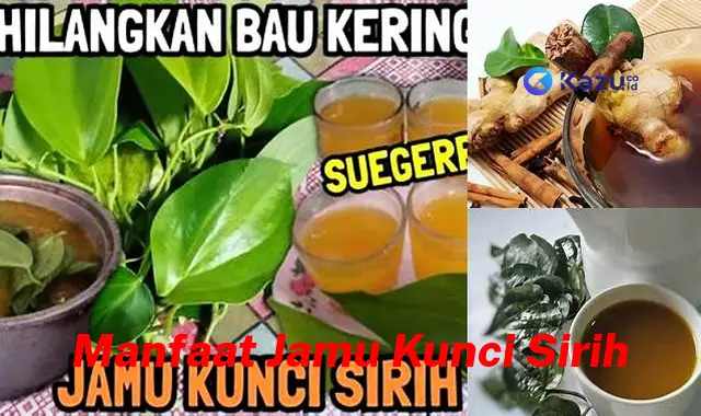 Temukan 7 Manfaat Jamu Kunci Sirih yang Jarang Diketahui