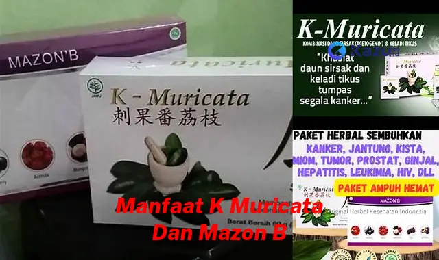 Temukan Manfaat Kersen dan Mazon yang Tak Terduga, Jarang Diketahui!