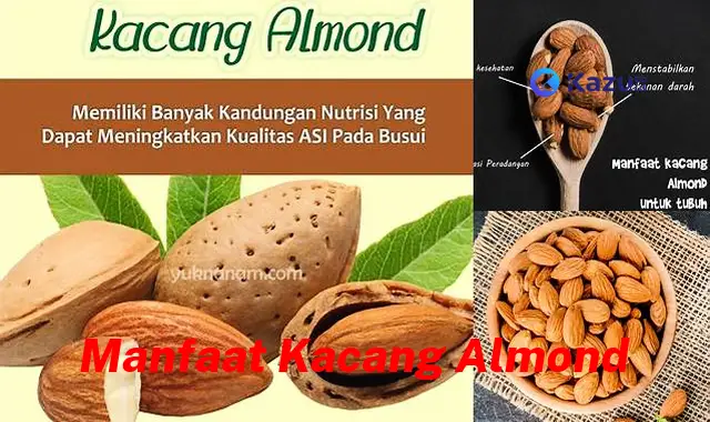 Temukan Manfaat Kacang Almond yang Jarang Diketahui