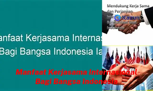 Ungkap Manfaat Kerja Sama Internasional Bagi Bangsa Indonesia yang Jarang Diketahui