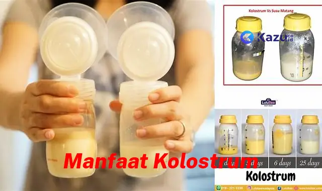 Temukan 8 Manfaat Kolostrum yang Anda Perlu Tahu