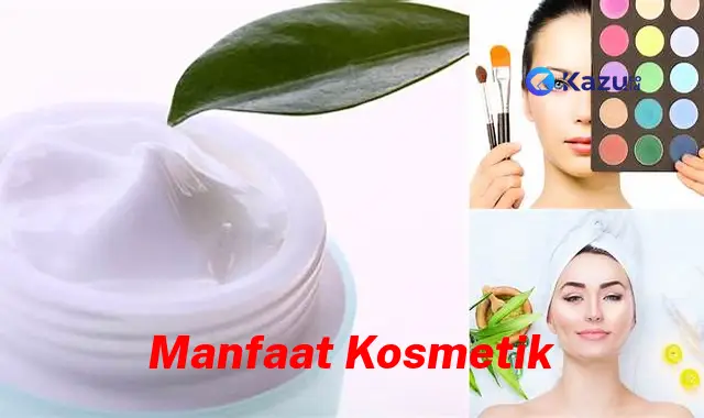 Temukan Rahasia Kecantikan yang Tersembunyi: 10 Manfaat Kosmetik yang Jarang Diketahui