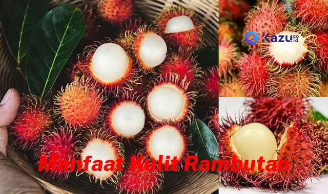 Temukan Beragam Manfaat Kulit Rambutan yang Jarang Diketahui