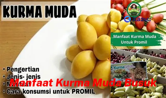 Temukan 7 Manfaat Kurma Muda Busuk yang Jarang Diketahui dan Bikin Kamu Penasaran