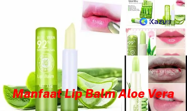 Temukan 7 Manfaat Lip Balm Aloe Vera yang Bikin Kamu Penasaran