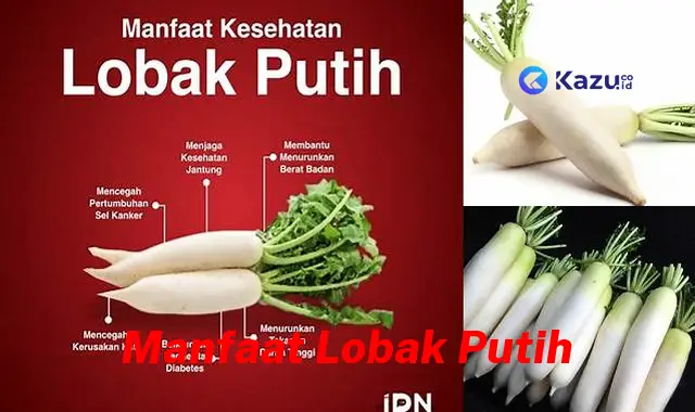 Temukan 7 Manfaat Lobak Putih yang Jarang Diketahui