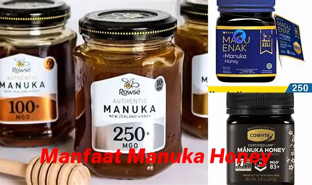 Temukan 7 Manfaat Manuka Honey yang Jarang Diketahui dan Bikin Kamu Penasaran