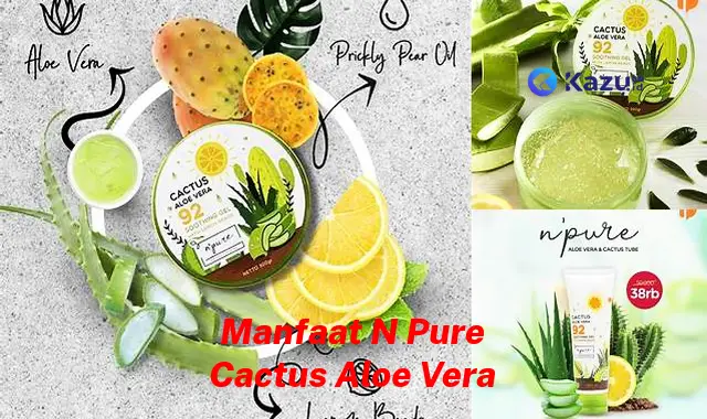 Ketahui 7 Manfaat N Pure Cactus Aloe Vera Jarang Diketahui