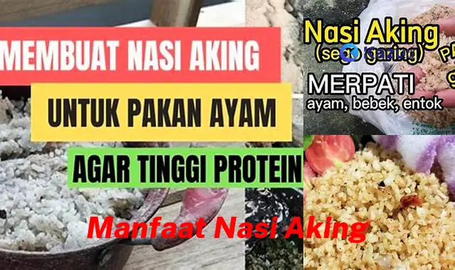 Wah, Ternyata Ini 9 Manfaat Nasi Aking yang Jarang Diketahui!