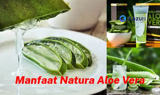 Temukan 7 Manfaat Natura Aloe Vera Jarang Diketahui Kamu Harus Tahu