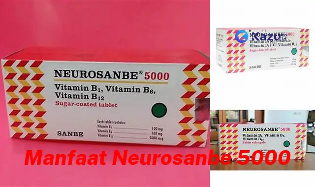 Temukan 7 Manfaat Neurosanbe 5000 yang Bikin Kamu Penasaran