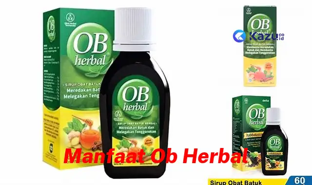 Temukan Manfaat OB Herbal Jarang Diketahui, Bikin Kamu Penasaran!