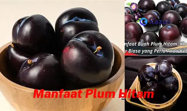 Temukan Manfaat Plum Hitam Jarang Diketahui yang Bikin Kamu Penasaran