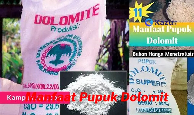 Temukan Manfaat Pupuk Dolomit yang Jarang Diketahui