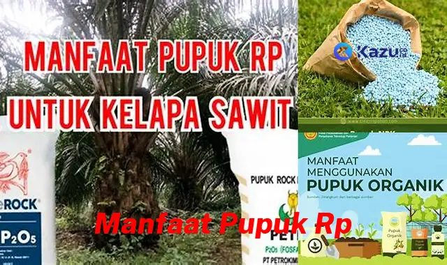 Ketahui 7 Manfaat Pupuk RP Jarang Diketahui, Bikin Kamu Penasaran!