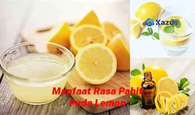 Temukan 7 Manfaat Rasa Pahit Lemon yang Jarang Diketahui, Bikin Kamu Penasaran!