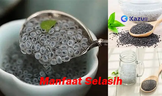 Temukan Manfaat Selasih yang Jarang Diketahui