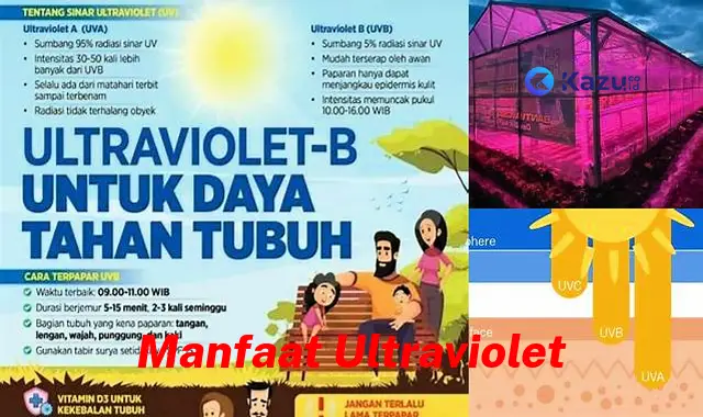 Ketahui Manfaat Ultraviolet Jarang Diketahui Bikin Kamu Penasaran