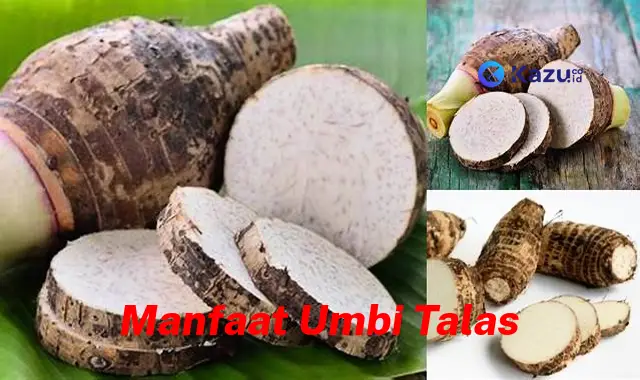 Manfaat Ubi Talas yang Jarang Diketahui, Anda Harus Tahu!