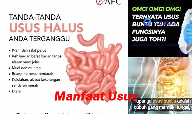 Ungkap 7 Manfaat Usus yang Jarang Diketahui, Kamu Wajib Tahu!