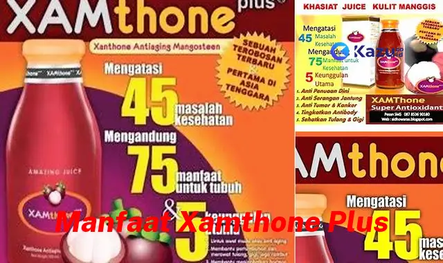 Temukan 7 Khasiat Xamthone Plus Yang Jarang Diketahui