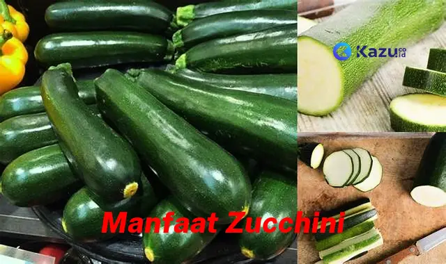 Temukan Manfaat Zucchini yang Jarang Diketahui!