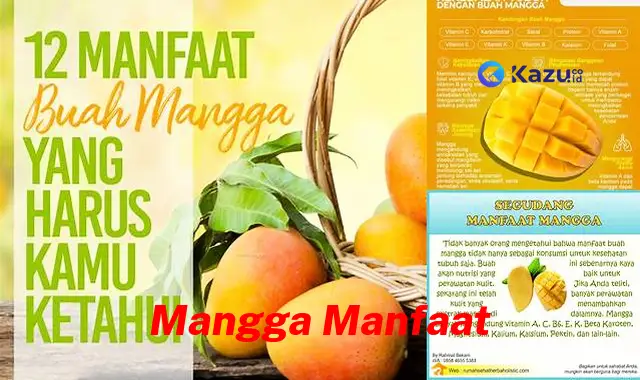 Temukan Manfaat Mangga yang Jarang Diketahui