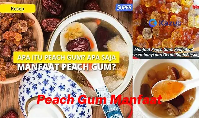 Temukan Manfaat Peach Gum yang Jarang Diketahui dan Mengejutkan