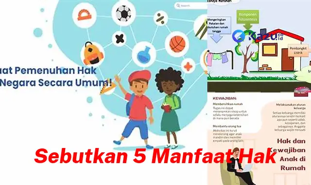 Ungkap 5 Manfaat Hak yang Jarang Diketahui